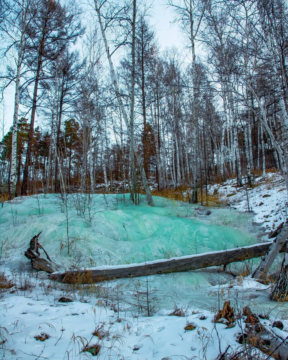 СОЗДАННАЯ И ЕСТЕСТВЕННАЯ КРАСОТА