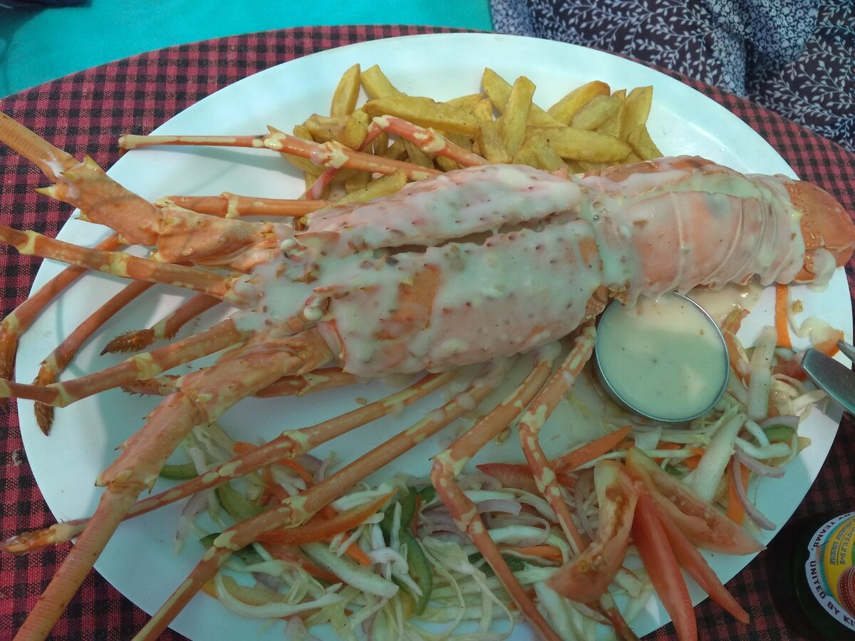 Лобстер 1000-1500 рублей