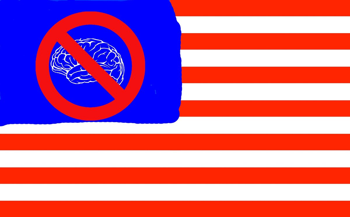Есть ли разум в США?
