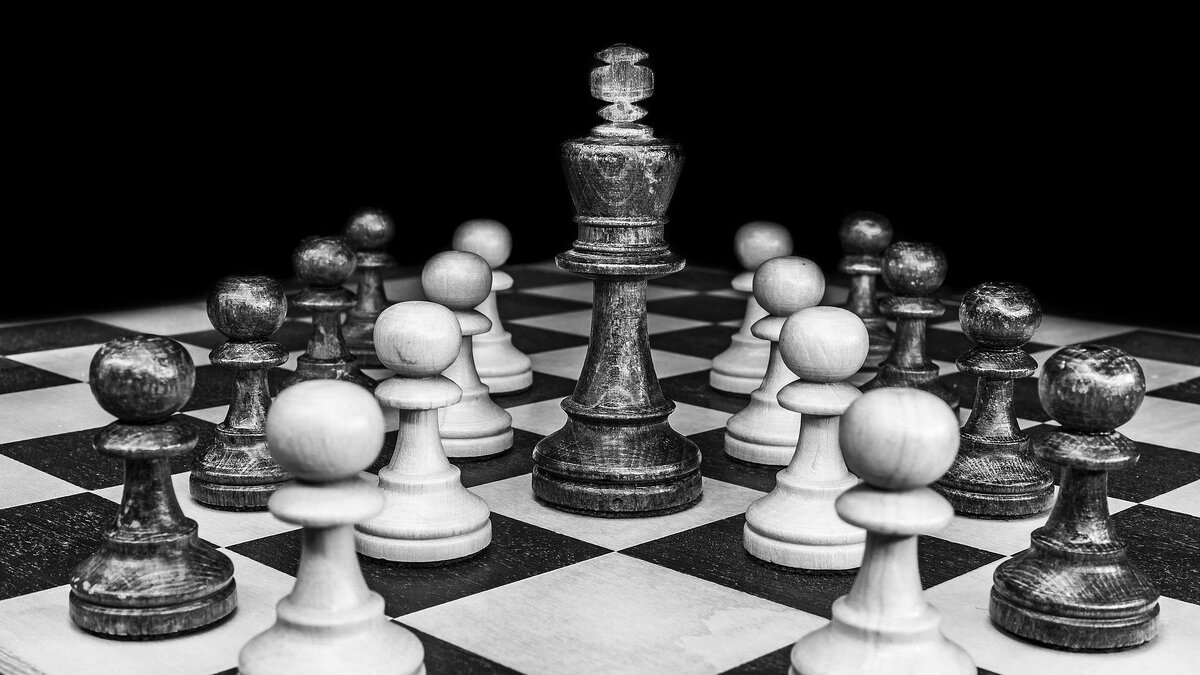                                                     Источник: pixabay.com