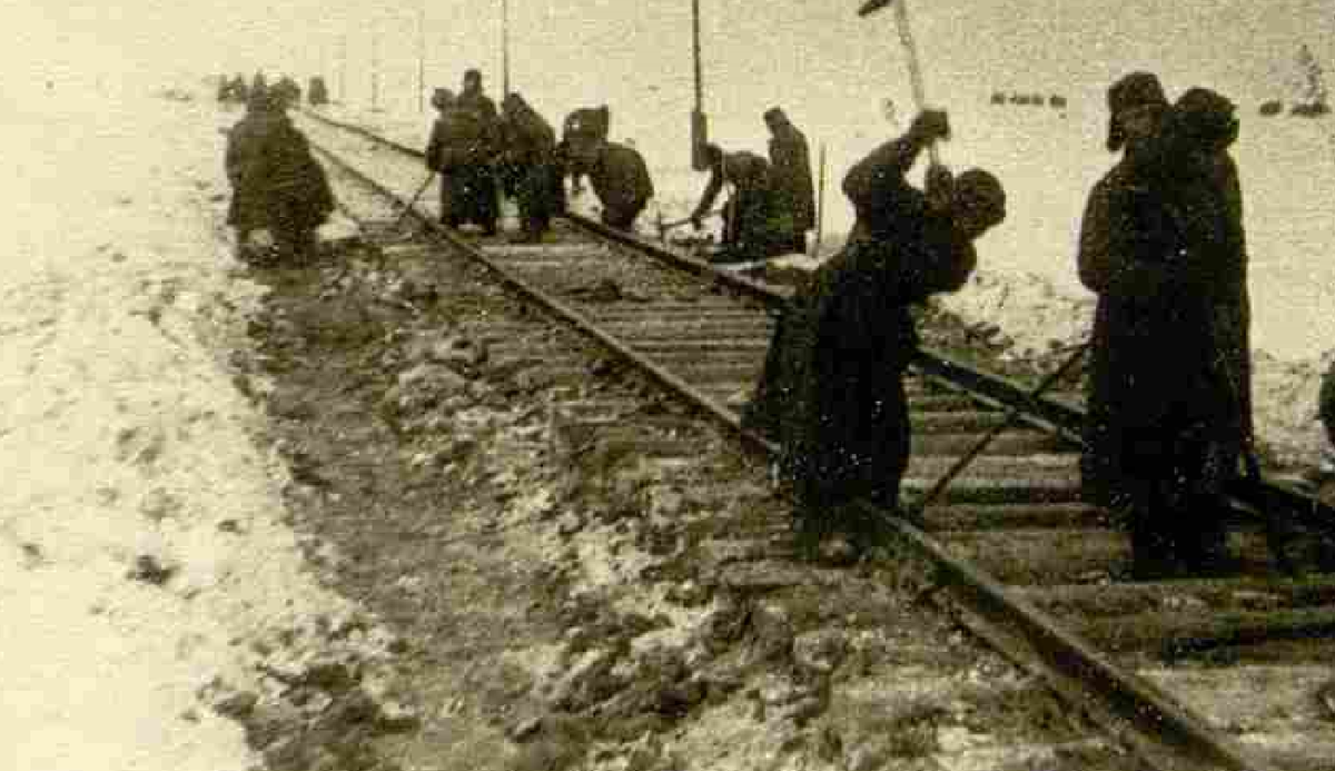 Кровавый понедельник февраля 1942 г. на ж/д узле ст. Лихая Юго-Восточной ЖД  | А. Мальцев, живи и помни | Дзен