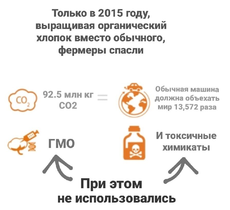 Фото взято и переведено из источника - aboutorganiccotton.org