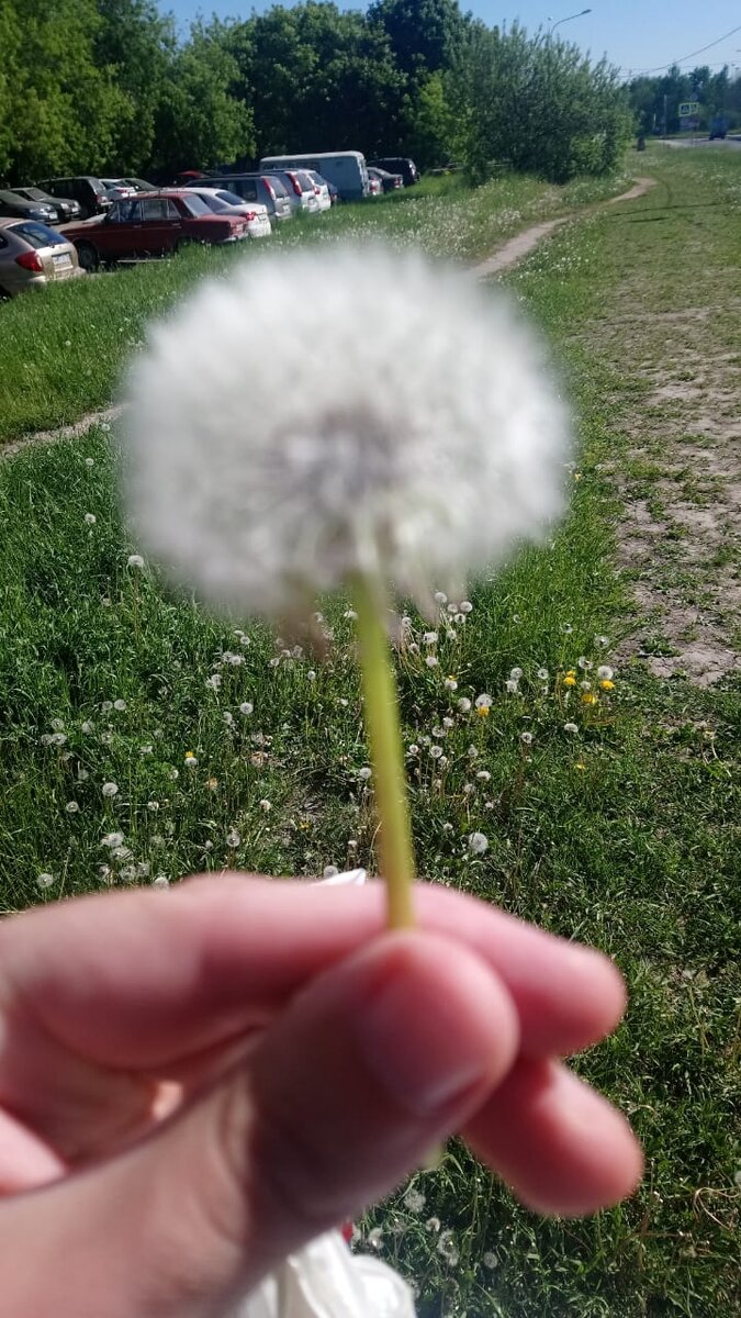 фото из личного архива автора 