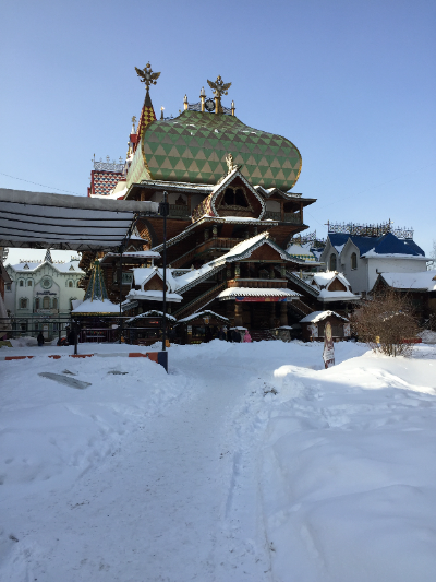 Теремки все в снегу. Фото А.Троилиной