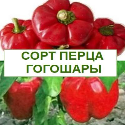 перец болгарский гогошары