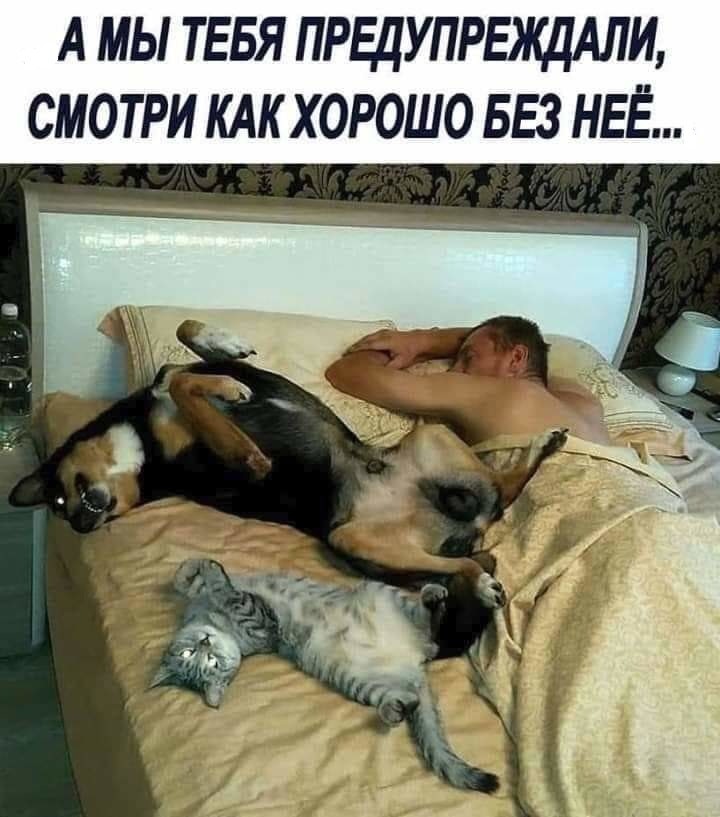 Прикольные мемы с животными и не только, согрейся теплом позитива