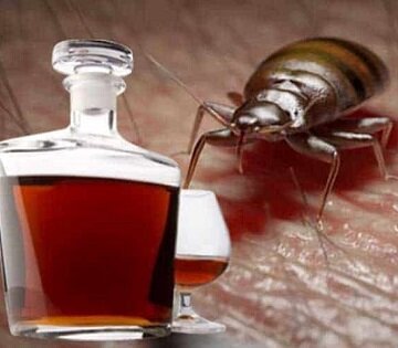 Из открытых источников. https://yandex.ru/images/