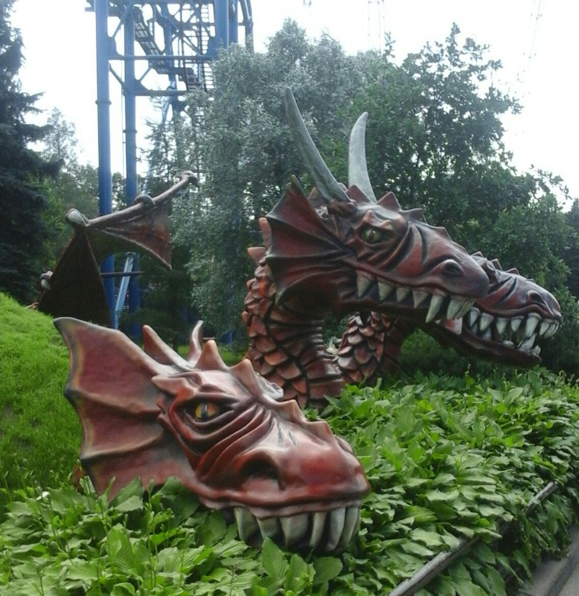 И его более старших родственников.... Фото автора, 2016 год. 