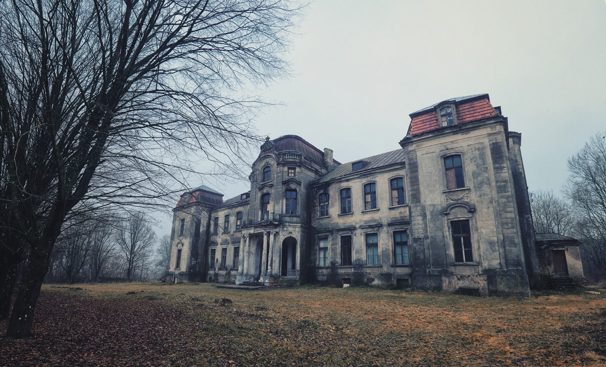 Фото из открытых источников