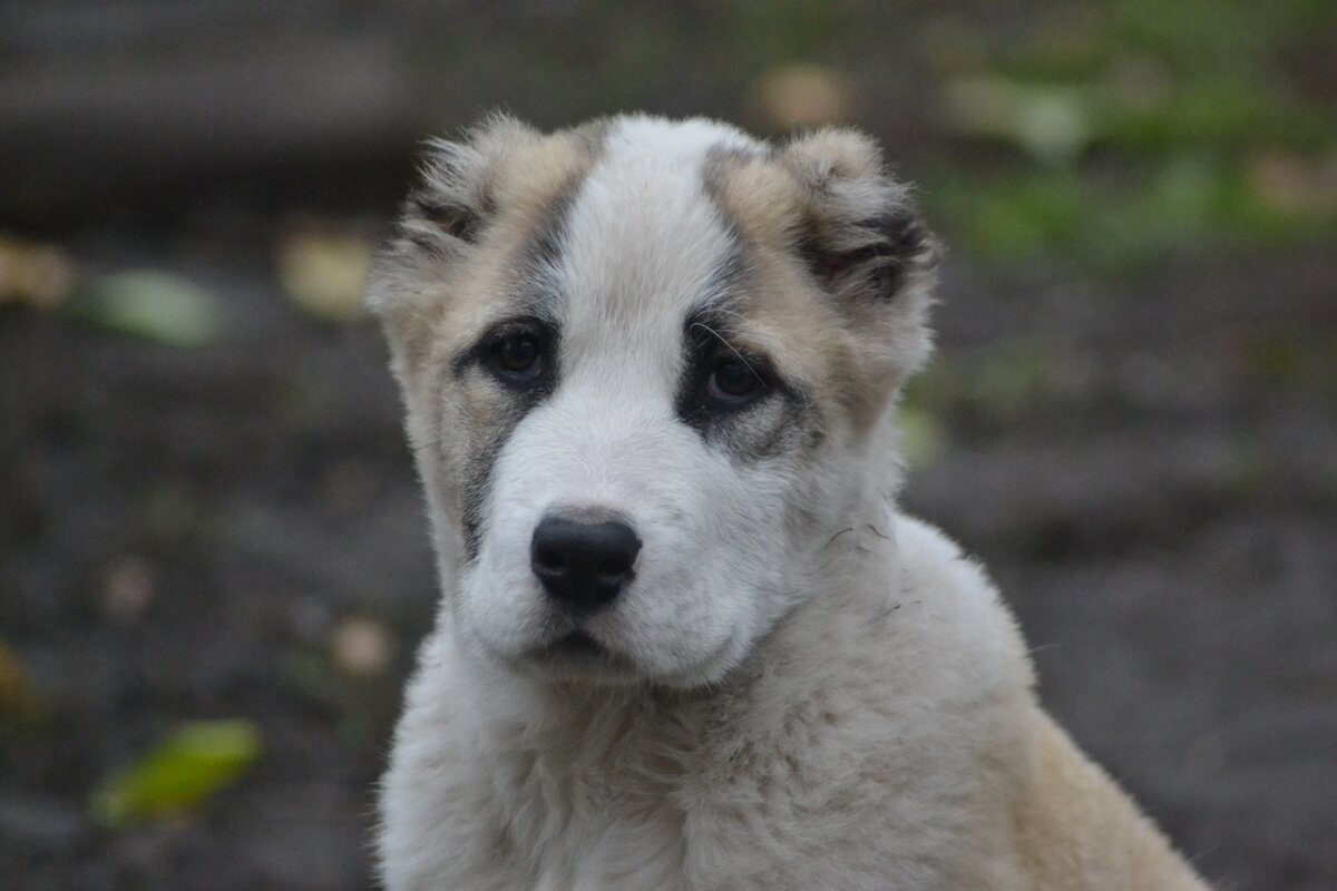 фото из личного архива