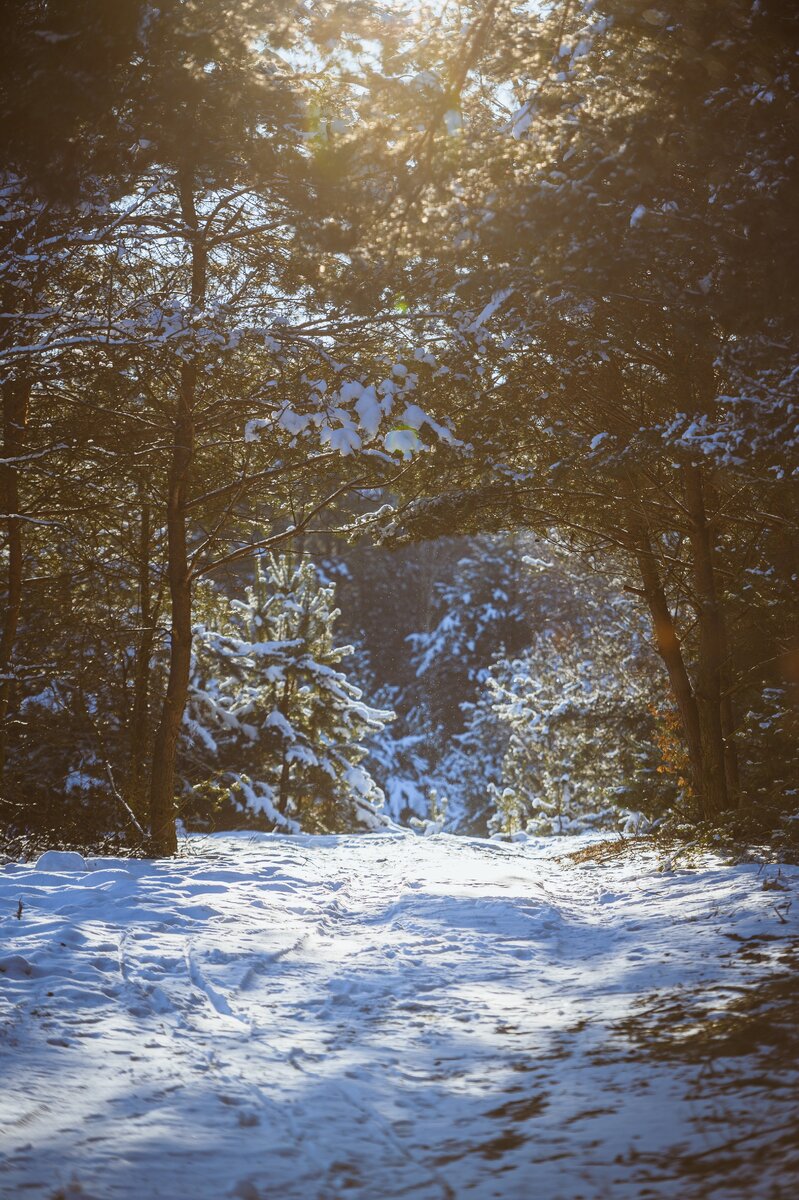 Photo by Piotr Szajewski on Unsplash