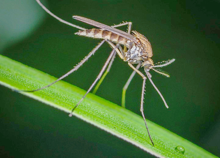 фото из свободных источников