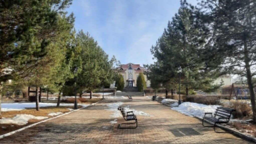 Аллея к главному корпусу.