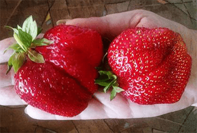 Буду рад вашей поддержке 

5*3*3*6_6*9*0*1_7*5*1*7_7*5*2*8 (сбе₽)