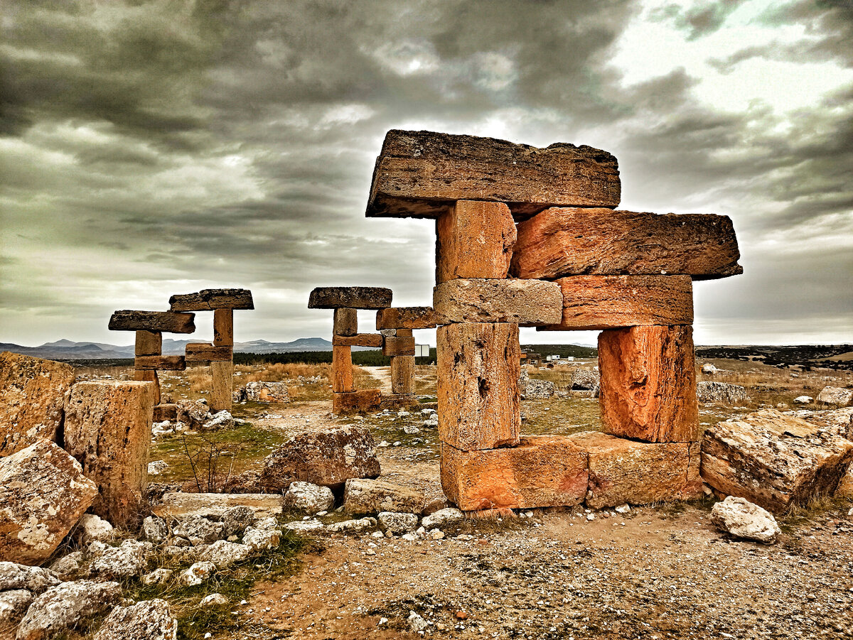 С любого ракурса они прекрасны. Фото автора 