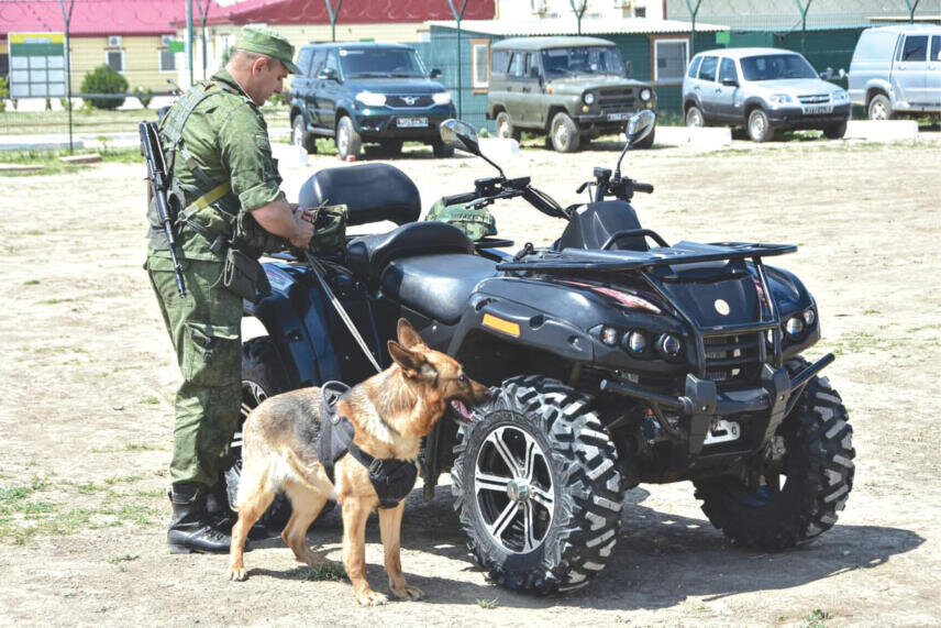 Фото: Михаил Гладчук 
