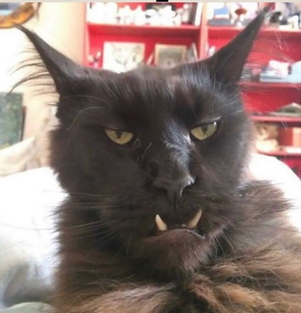 Бригадный Александр - генерал!