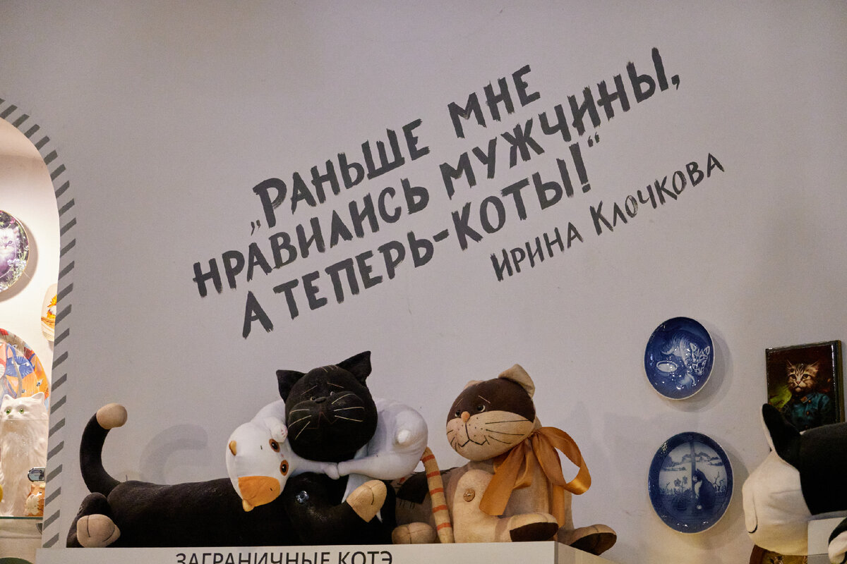 В музее кошек