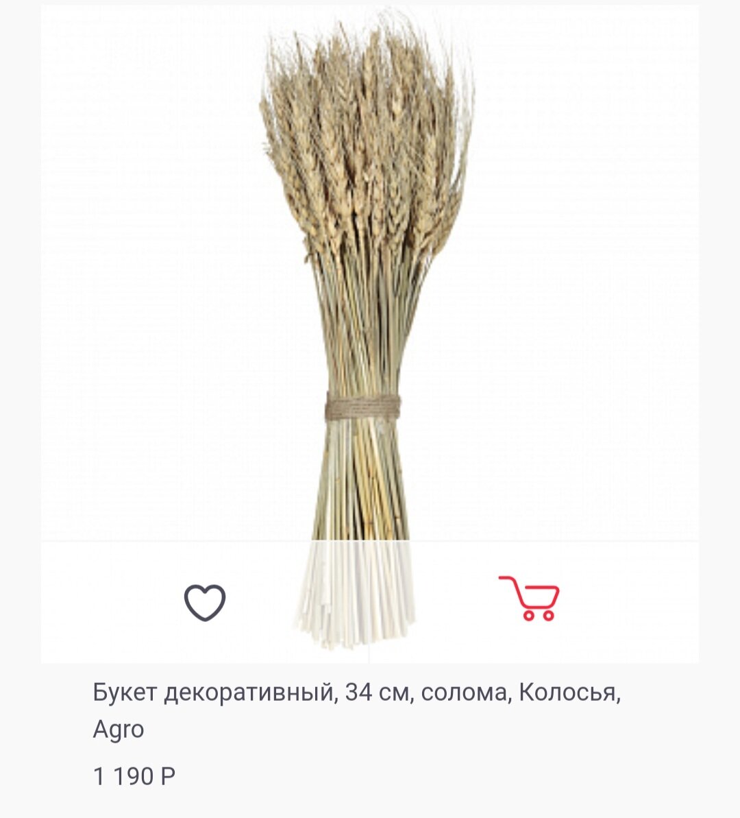 Сухоцвет на улице бесплатно растет. Стоит только пойти и нарвать, как это сделада я