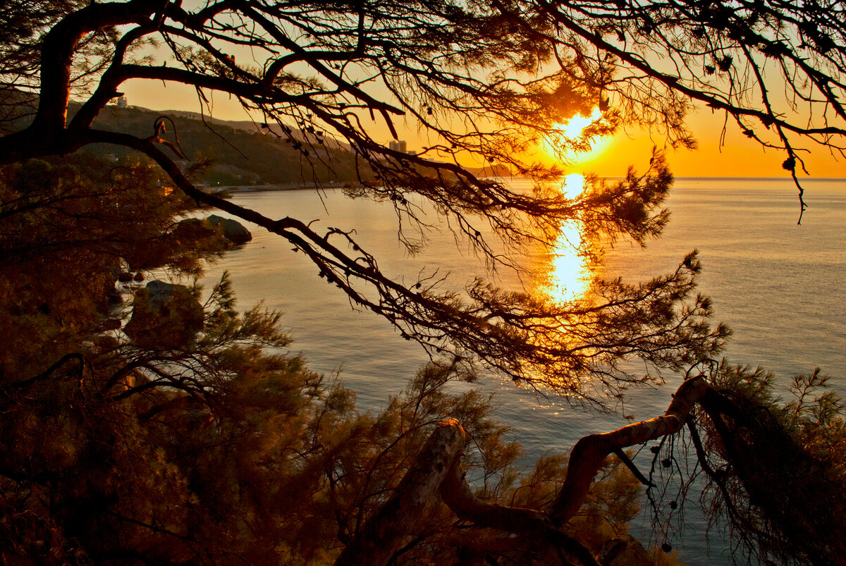Алупка. 