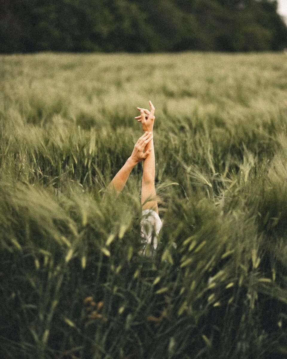 Инстаграм:  belova__foto