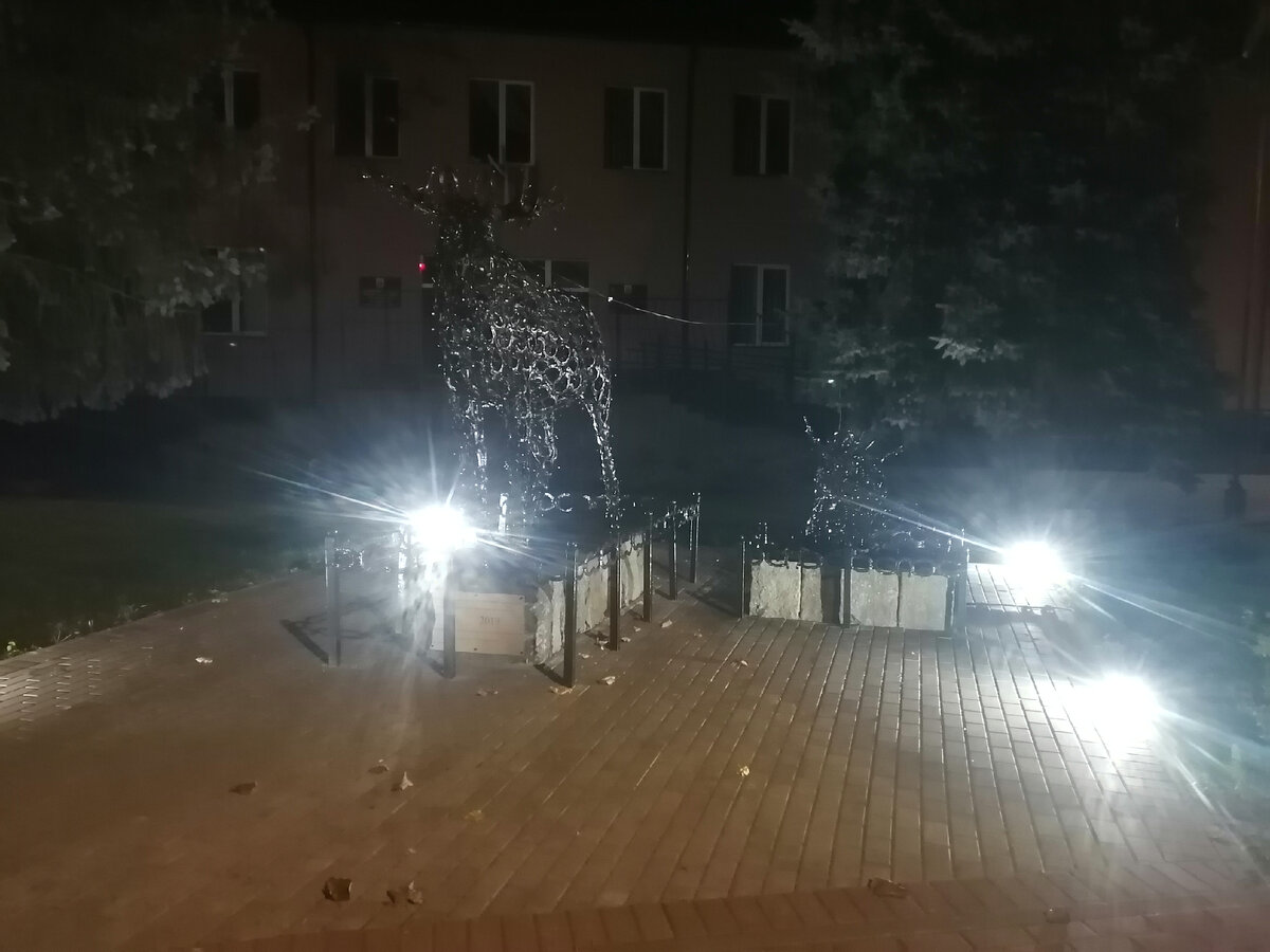 Подковные лоси