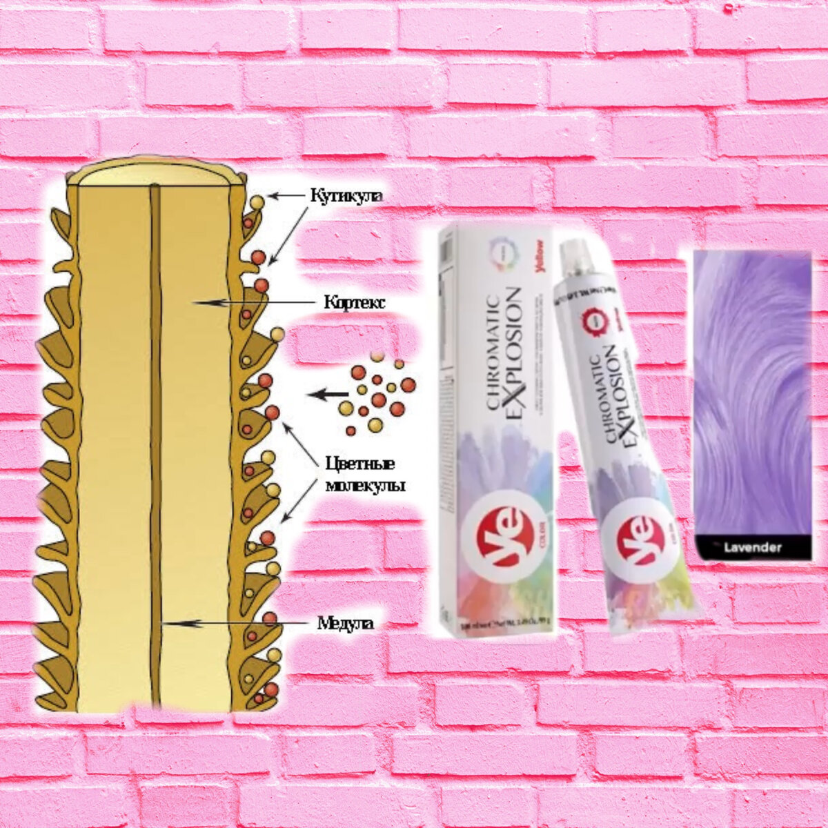 Цвет и уход тесно связаны