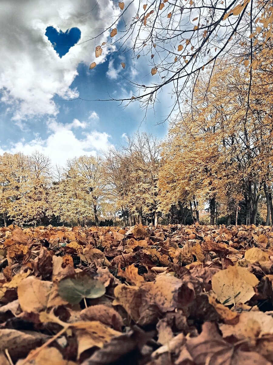 Ботанический сад, Краснодар