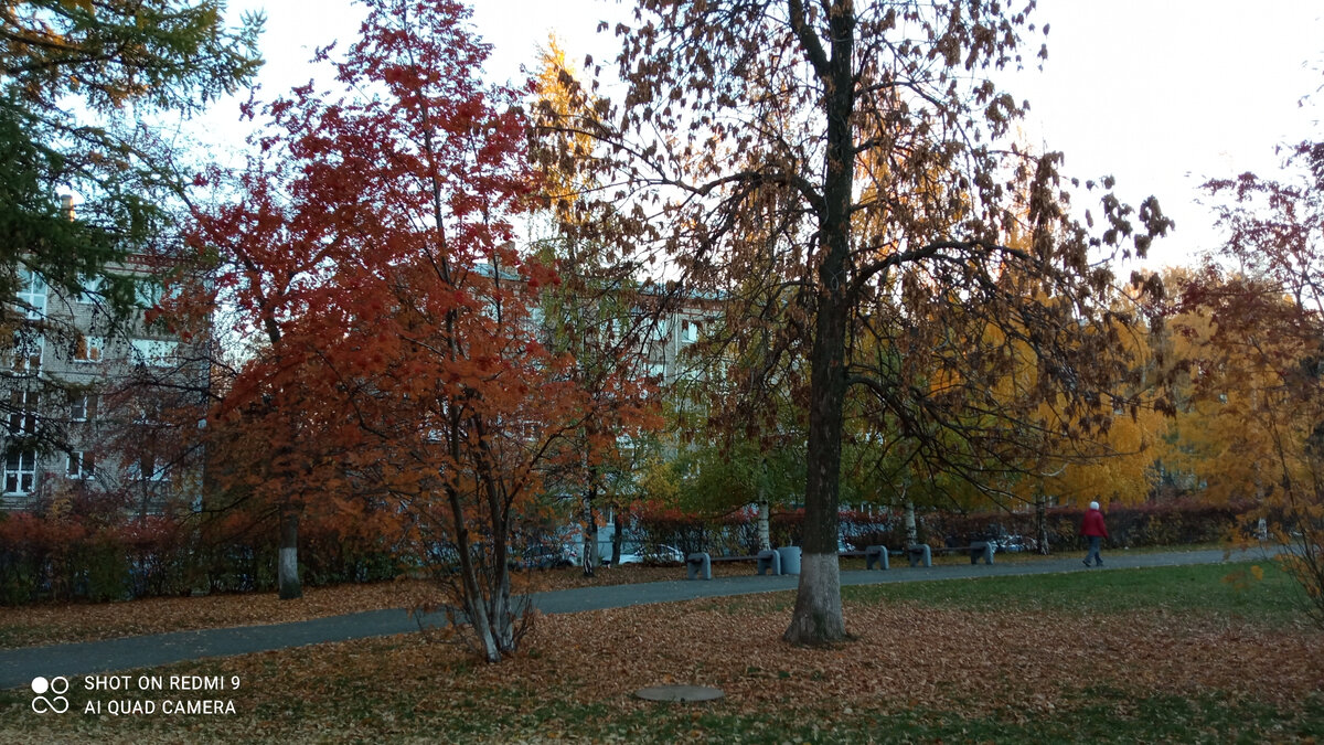 Фото © Кононыхина Марина