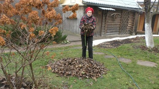 Опавшая листва – золото для сада.