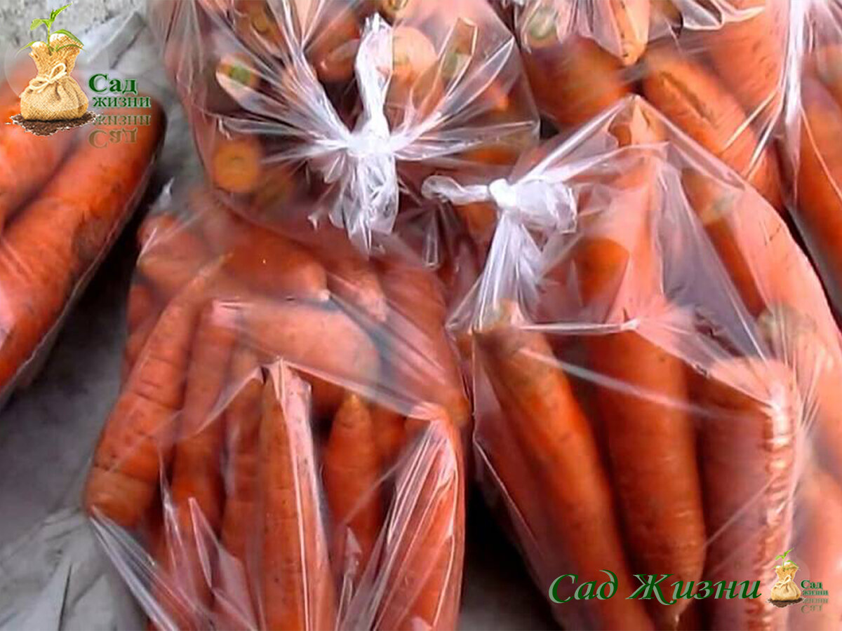 Морковь в холодильнике.