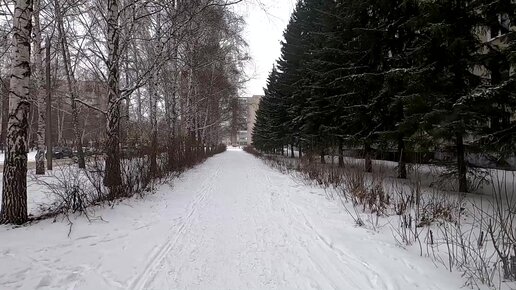 Русская народная сказка ВЕЩИЙ МАЛЬЧИК