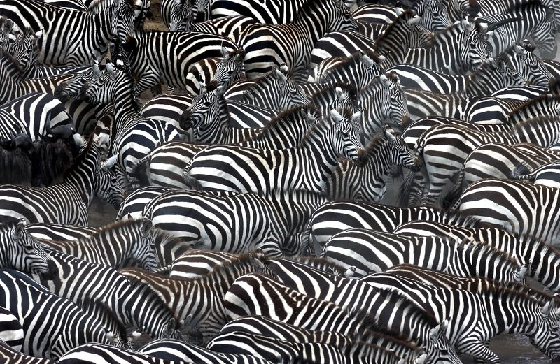 ����� ������� � ��������� ������ �������.