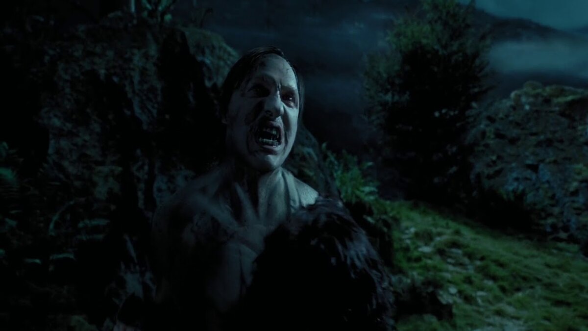 "Ты принимал сегодня лекарство, Римус?"