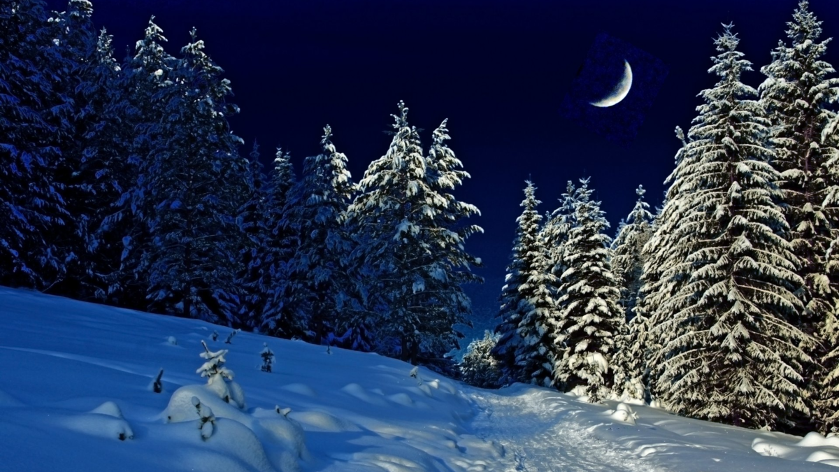 Фото из доступных источников интернета Яндекс.картинки