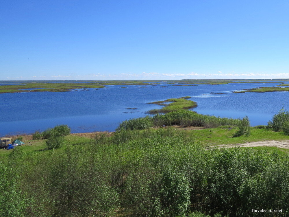 ЯНАО, низовья реки Таз, 1 июля