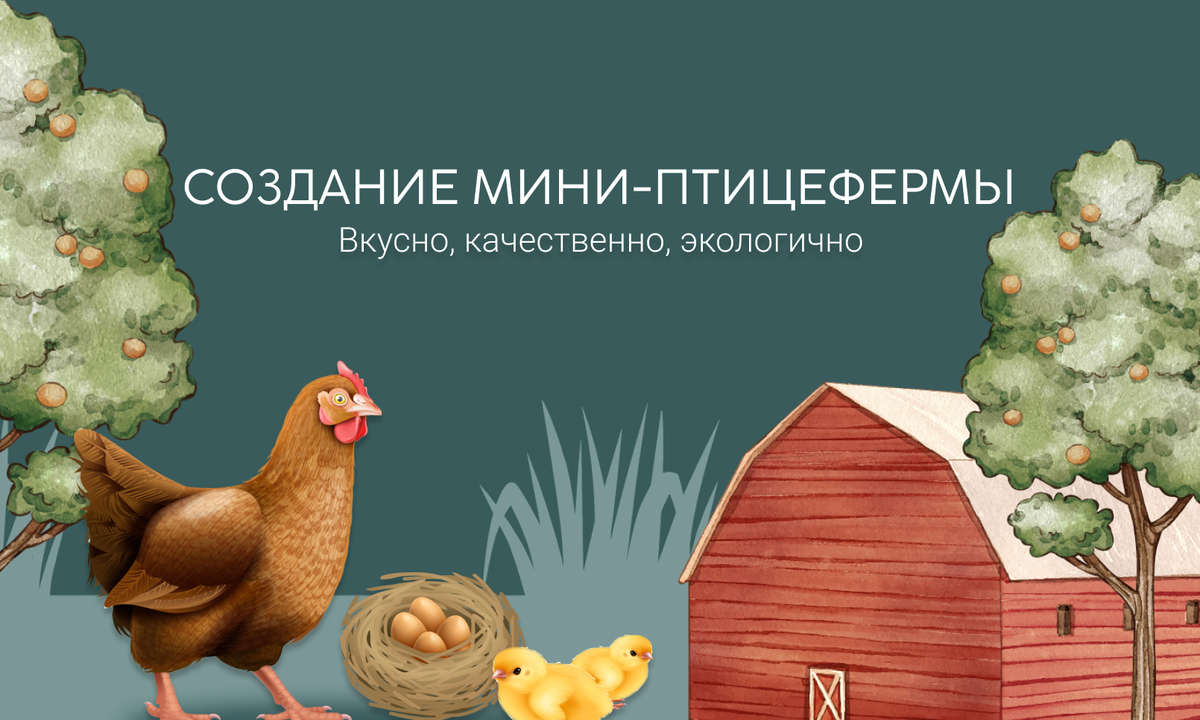 Инженер Дмитрий Солдатов создает мини-птицеферму в Бурятии на берегу Байкала.
