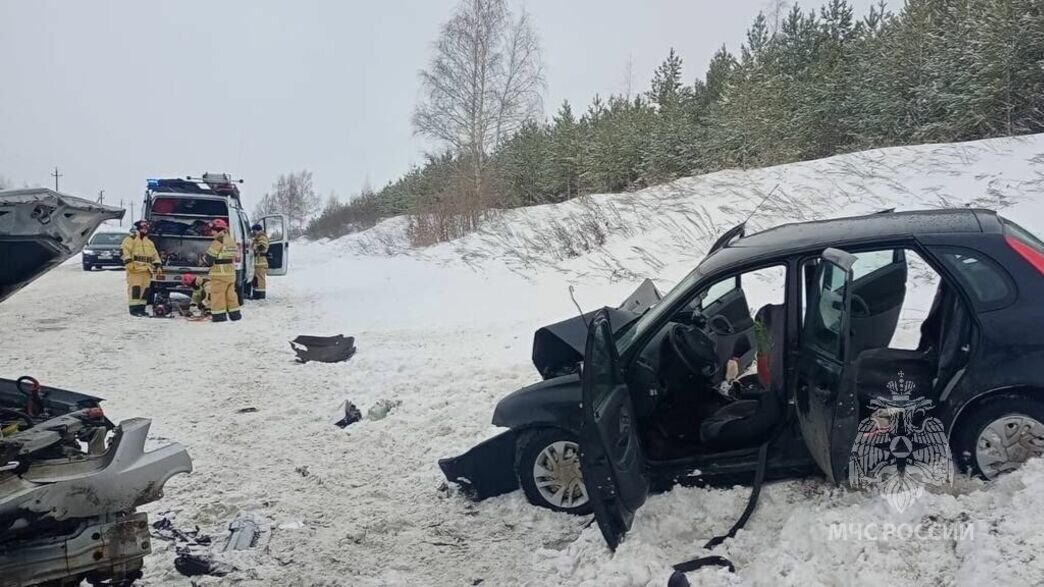     2 января днем на автодороге Сарапул-Ижевск столкнулись два легковых автомобиля. В результате ДТП погиб водитель и пострадали шестеро человек, из них двое детей.