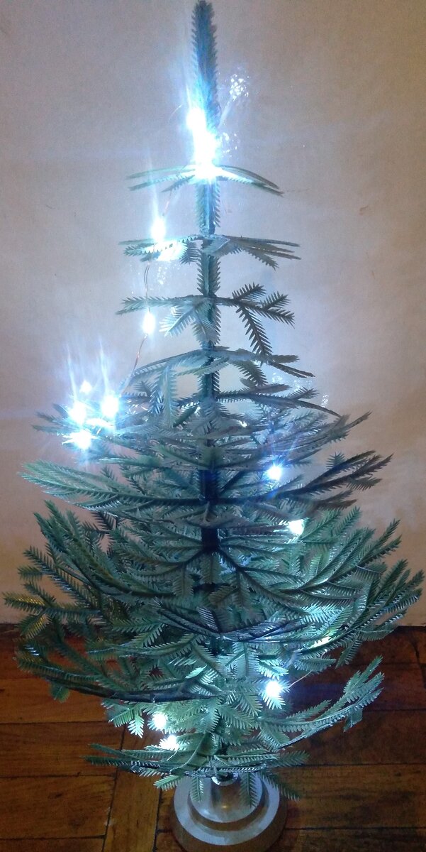 Героиня этой статьи