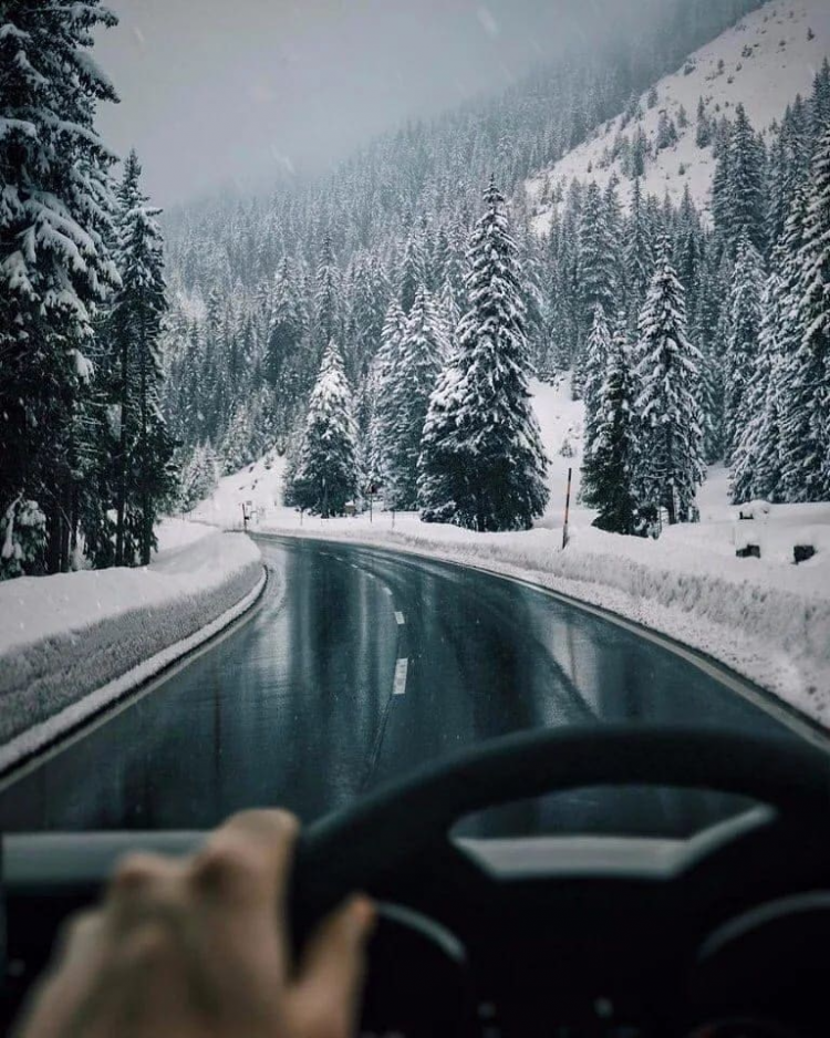 Фото из интернета. 