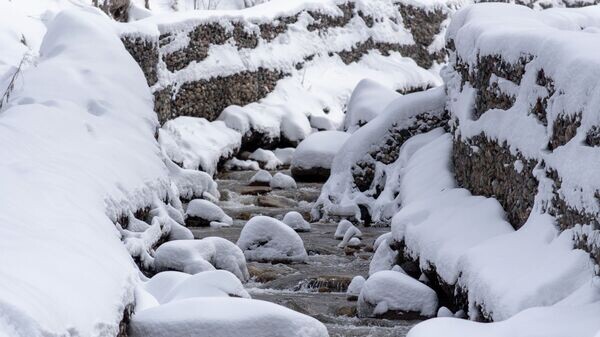   © Sputnik / Тимур Батыршин