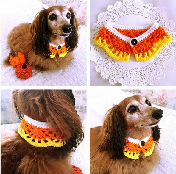 Листайте! С Этси. https://www.etsy.com/listing/245285044/dog-scarf-dog-collar-halloween-candy
