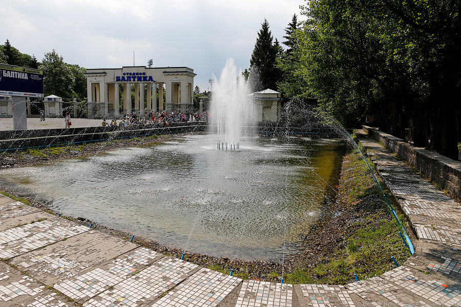 Фото: Виталий Невар / Новый Калининград