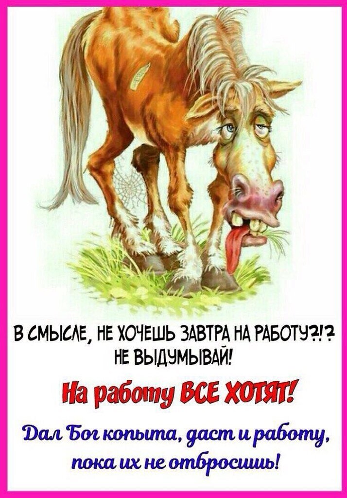 Карта не лошадь к утру повезет смысл