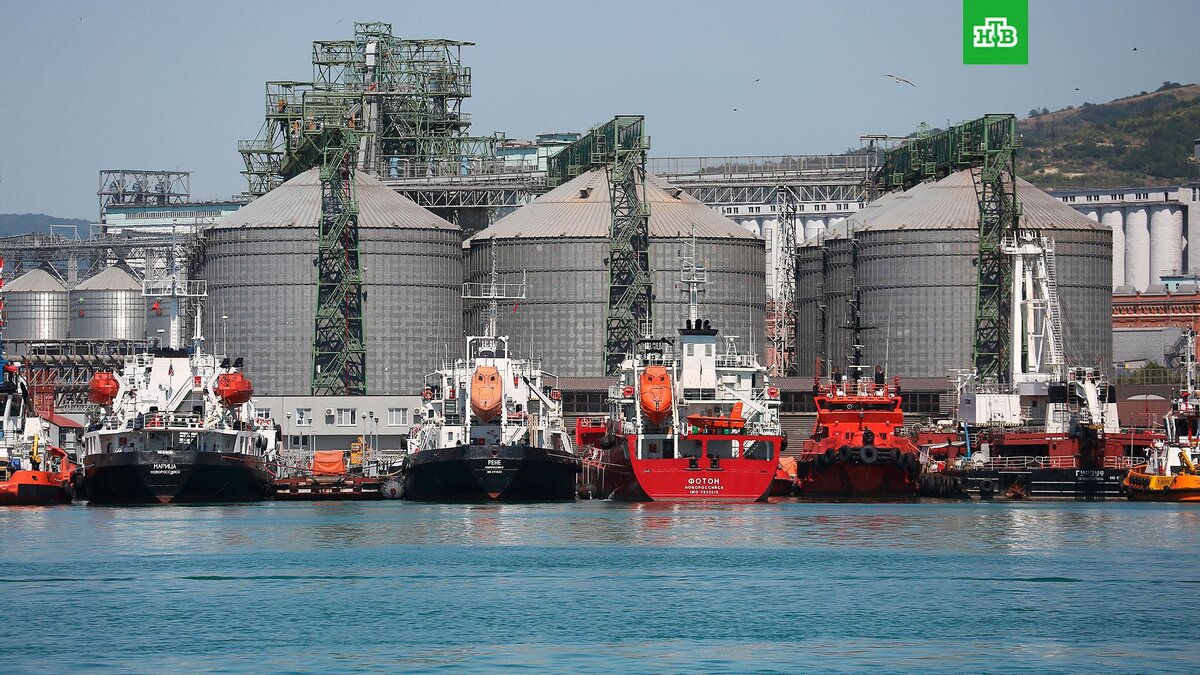    Фото: РИА Новости © 2023, Виталий Тимкив