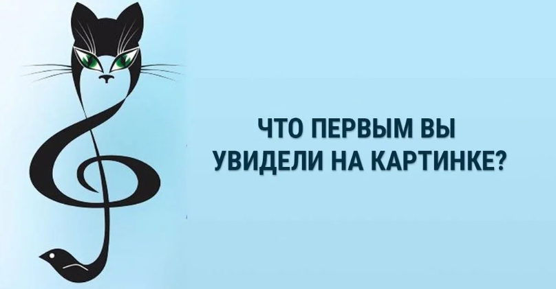 Изображение взято с открытых источников 