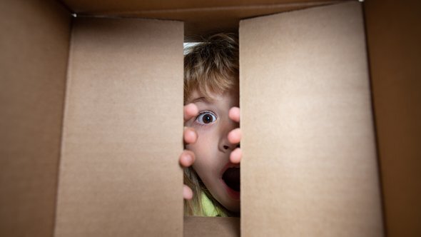    Фото: Volodymyr TVERDOKHLIB / shutterstock / fotodom