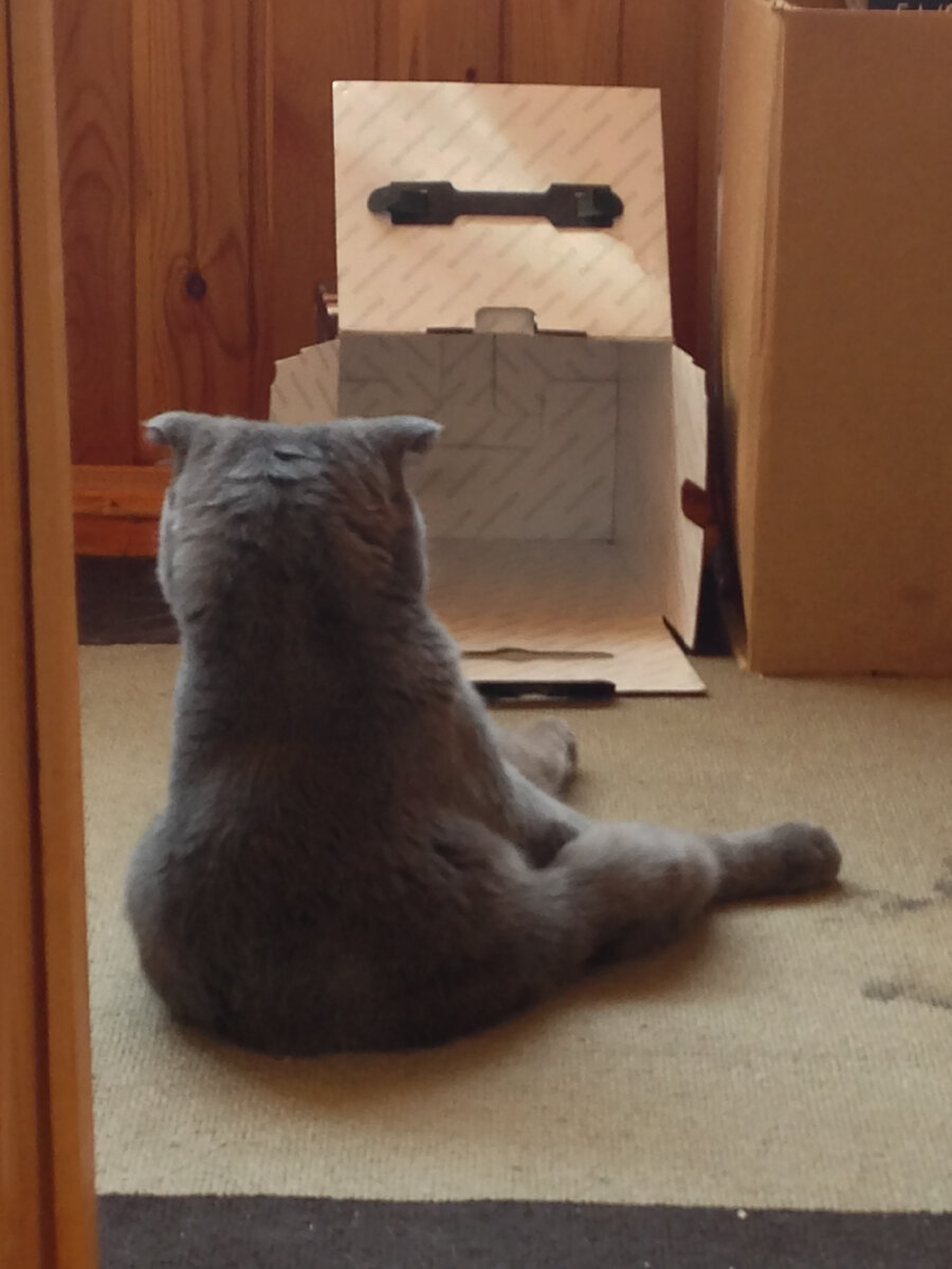 Постиг Дзен. Фото из личного архива Ричарда