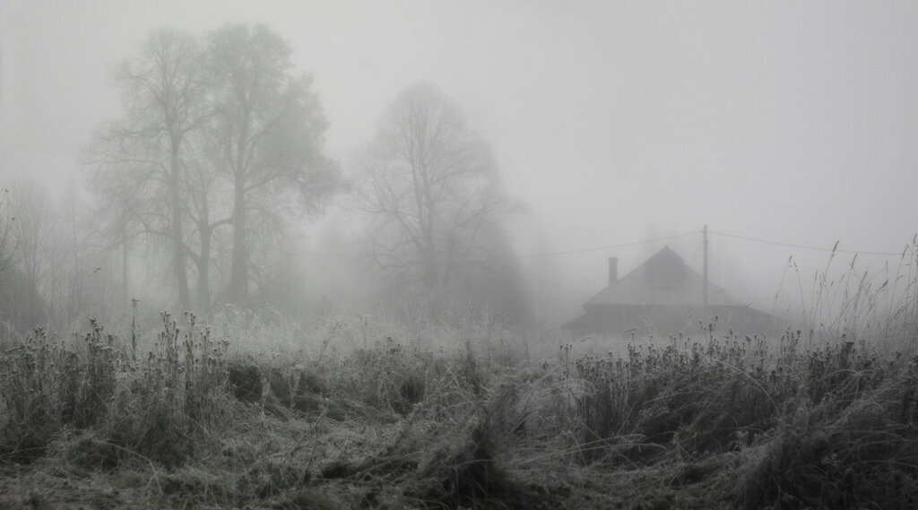 Grey november. Сталкер туман деревня. Деревня в тумане. Заброшенная деревня в тумане. Заброшенный город в тумане.