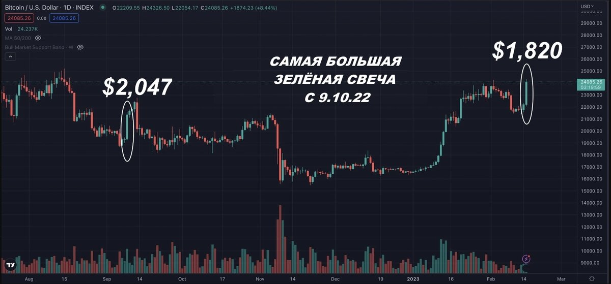 Однодневный график цены биткоина. Источник: TradingView